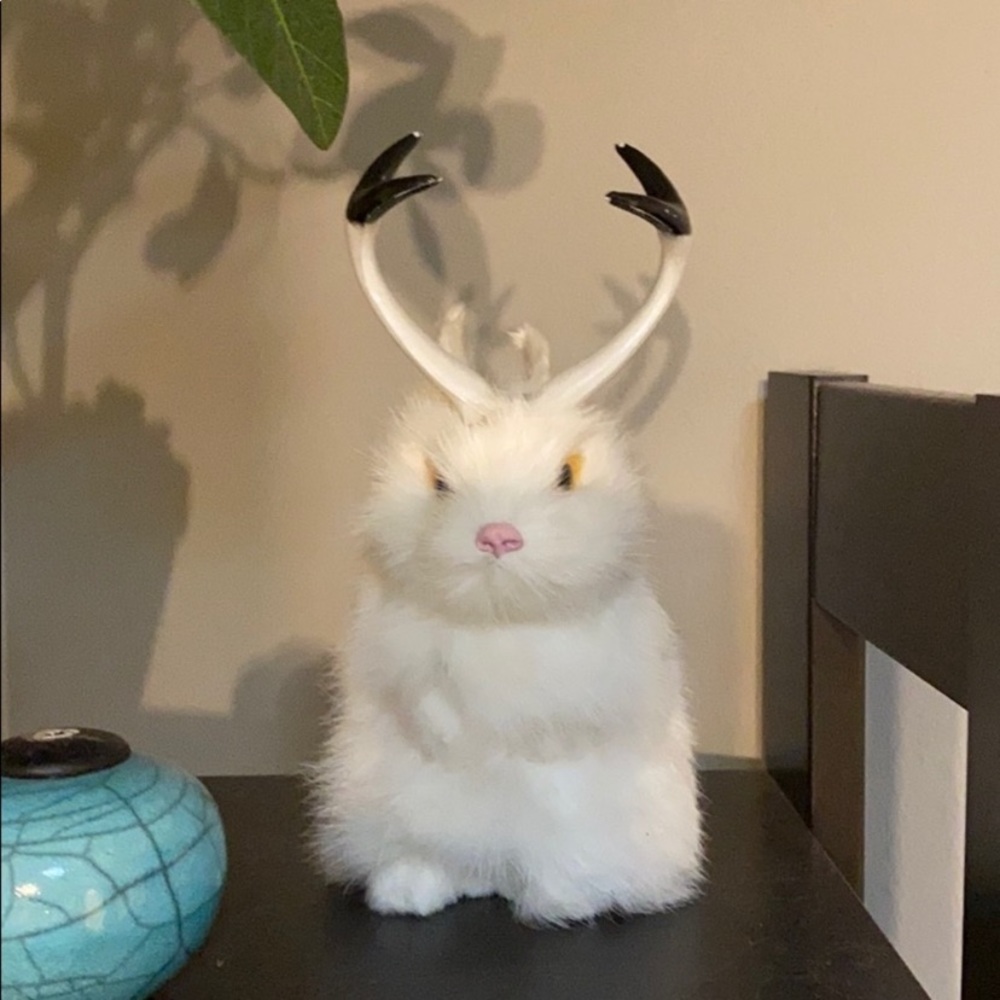 Rabbit fur Jackalope.